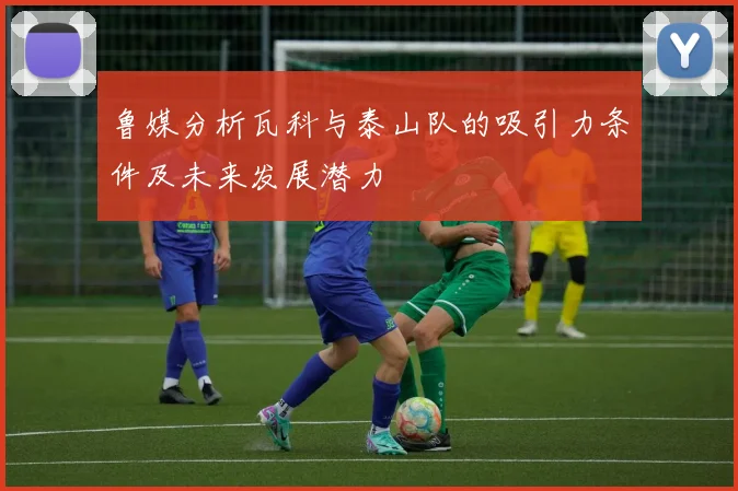 鲁媒分析瓦科与泰山队的吸引力条件及未来发展潜力