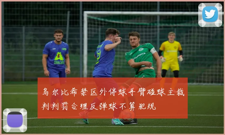 乌尔比希禁区外停球手臂碰球主裁判判罚合理反弹球不算犯规