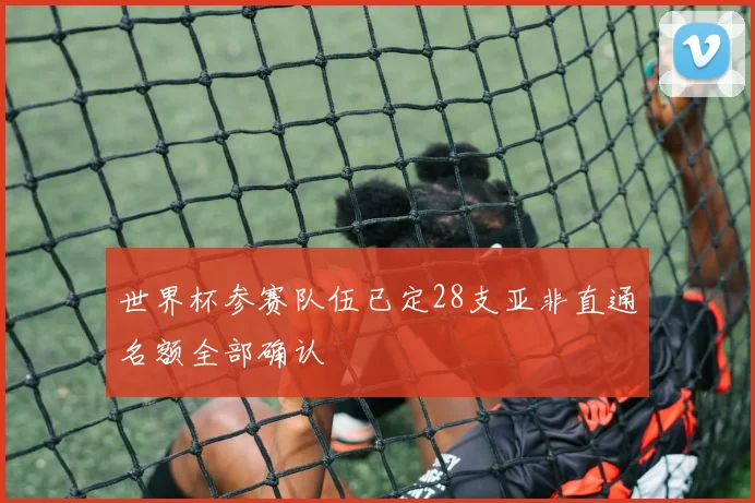 世界杯参赛队伍已定28支亚非直通名额全部确认